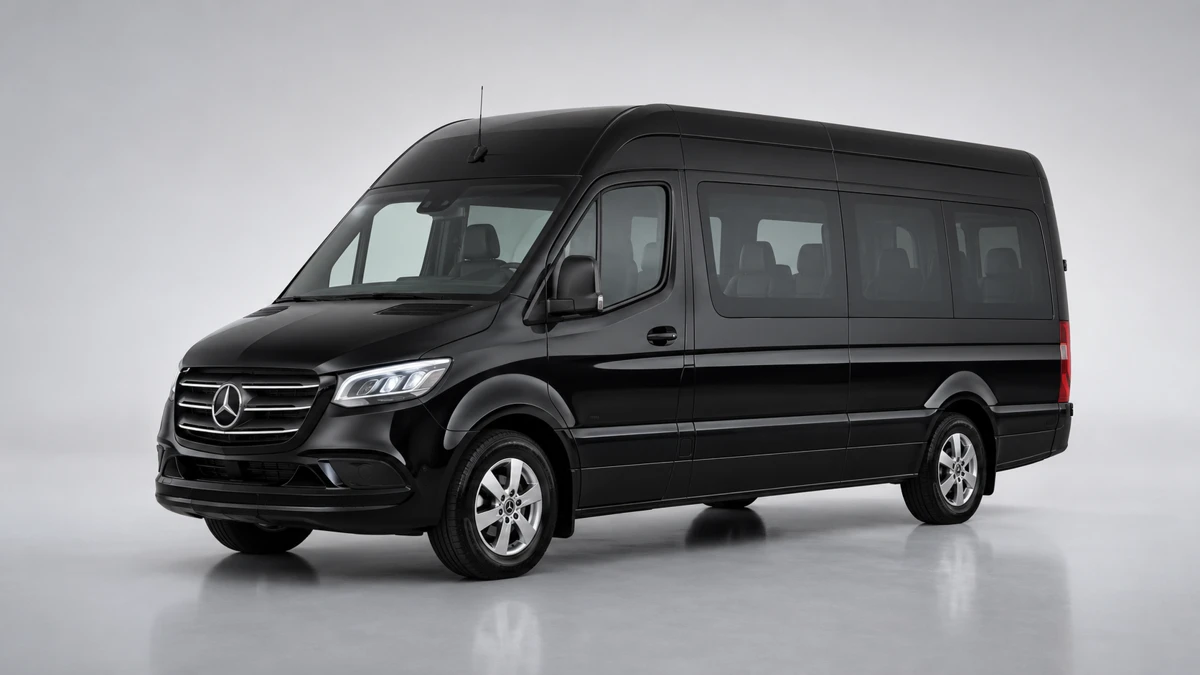 Black chauffeur-driven Mercedes-Benz Sprinter van for a Niagara Falls group celebration
